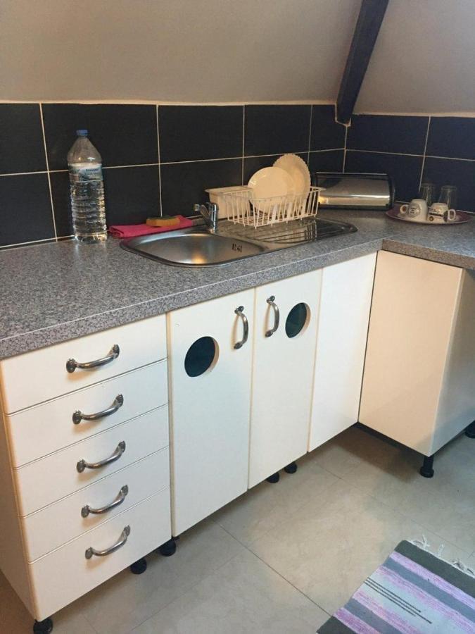 Room Near The Center With Bathroom And Kitchen ブリュッセル エクステリア 写真